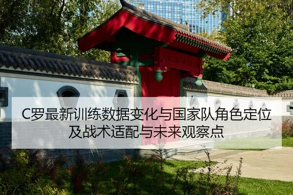 C罗最新训练数据变化与国家队角色定位及战术适配与未来观察点